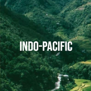 INDO-PACIFIC icon