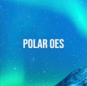 POLAR OEs icon