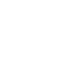 army_patch_icon_wht