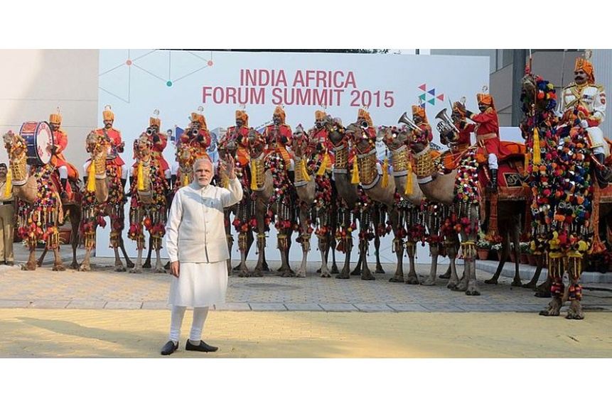 Stein 02 3rd India Africa Forum Summit