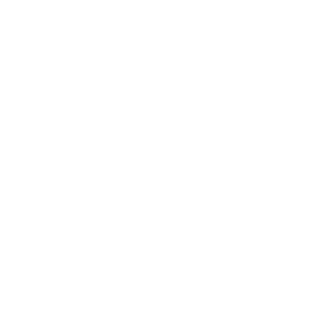 USIP Logo